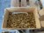 Lot of brass nozzles