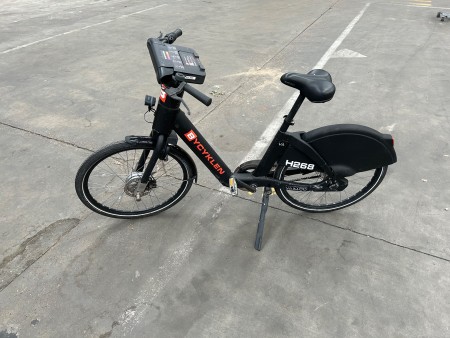 Electric bike, Vaimoo