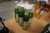 6 flasker sirup, Il Doge, Kiwi