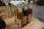 6 flasker sirup, Il Doge, forskellige smage