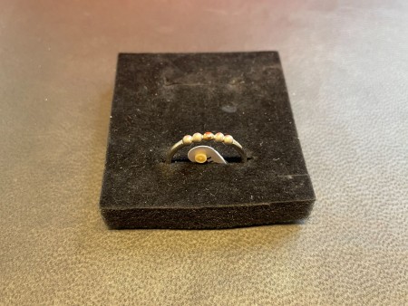 Silver ring, Noah