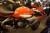 Motorrad, MV Agusta F3 675 ABS