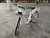 Electric bicycle