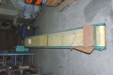 Electrically driven conveyor approx. 3000 mm