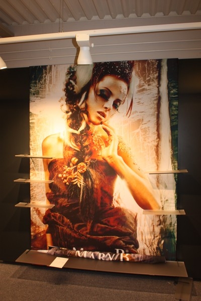 Wall display with large format printing, Mary B