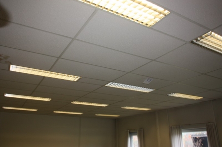 Hanging ceiling, approx. 9 x 6 meter + approx. 12 ceiling luminaire + 2 spots