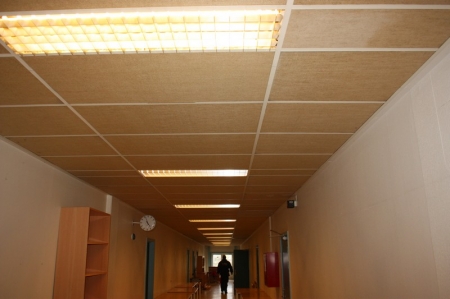 Ceiling, width approx. 3 meters. Length approx. 46 meters + approx. 14 ceiling luminaire