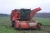 self-propelled beet harvester, Holmer, 6-row. Year 1994. Runs perfectly
