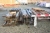 Lot wooden beams and wooden boards, etc.
