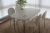 Bord, 1400 x 800 cm, med 4 skalstole og plante
