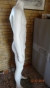 Herregine ala "Hindsgaul" Højde 171 cm, på glasplade