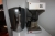 Kaffebrygger, Melitta 171 M + ølaftapningsmaskine, Beertender + køleskab, Atlas