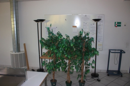 6 kunstige planter plus 3 lamper + whiteboard