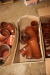 5 boxes plastic sewer fittings