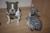 6 x animal figurines: 2 rabbits, 3 dogs + fallow