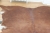 Cowhide approx 1800 x 1500 mm