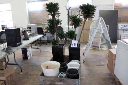 Green plants in self-watering pots, 2 pcs. + Div. Potter