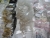Start your own jewelry store; estimated 600 bags with locks, gradinhager, nodal hides, necklaces, double rings, jewelry rods, rings, bro needles end hides, t-lock, ørefiskekroge and many more things, everything is nickel free, as well as approximately 40 