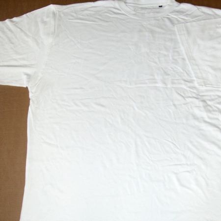 Company clothing without print unused: 7 S + 1 M + 31 L + 14 XL. White T-shirt