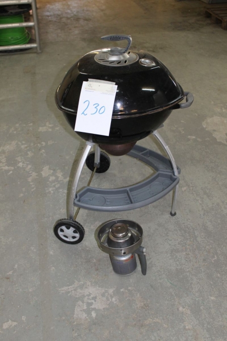 Charcoal grill with gas starter