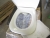 2 Stück Toilettensitze Duravit D-Code mit softluk, unbenutzt und in Originalverpackung, nur für die Fotografie eröffnet