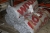 6 Stück Steinwolle Wintermatten 300, ein 3x1 m, Stärke 50 mm (Datei-Foto)