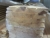 80 pieces rustic boards 19x125, length 5.4 meters, Untreated