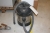 Vacuum cleaner, marked Wasco, model 12-50. without hose, tube and nozzle