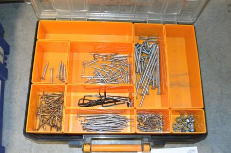 Assortments containing various wood screws