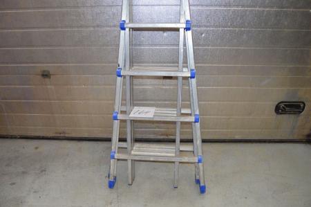 Multi ladder