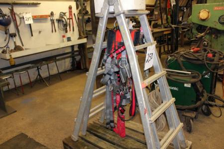 Bag with fall protection + aluminum ladder