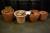 Parti various terracotta garden pots