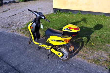 Elscooter with leaves