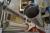 Beutelmaschine, mrk. Santiago. Komplett Edelstahl, Füllung 90 mm, 120 mm, 125 mm, 83 mm. Schweißbacken 26,5 cm
