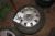 2 Tires w / alloy wheels 205/65 R 16 Embellish Capsules VW