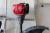 Brushcutter Honda 4- stroke model UMC 435 E with various accessories, new