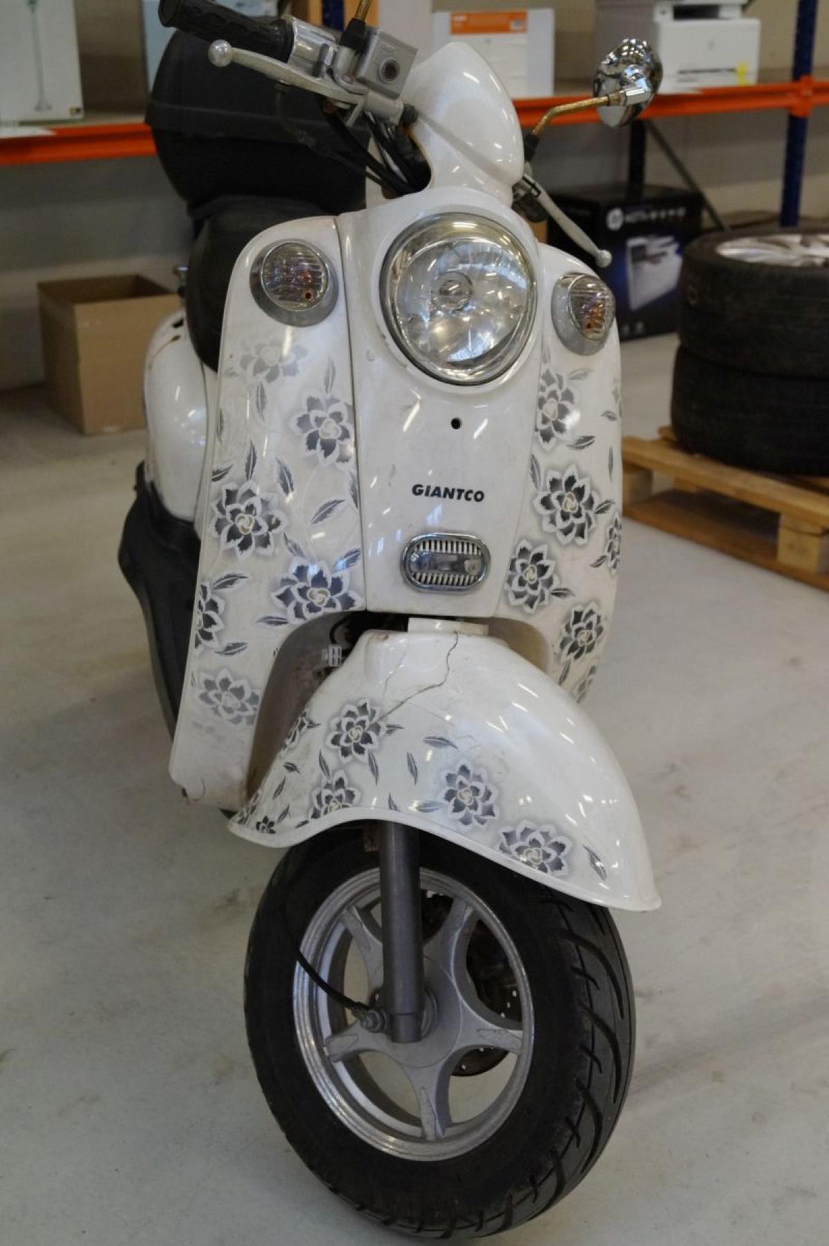 mammal Genbruge stenografi Scooter, mrk. Giantco, driven about 3.450 km, crack in the wing - KJ  Auktion - Machine auctions