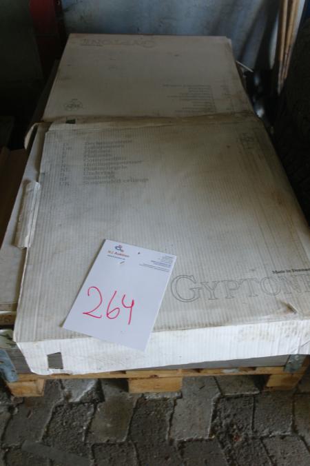 Deckenplatten, ca. 8 Boxen, Gyptone