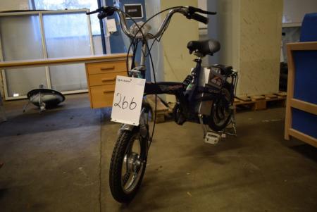 Electric bicycle incl. leaves, mrk. SMALL