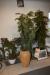 3 stk. kunstige planter med tilhørende krukke, 1 stk. ægte plante med krukke, 1 stk. håndklæde og stk. billede med ramme. 