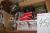 Lot sales goods: Flowerpots, dishes, Christmas balls and ornaments etc.