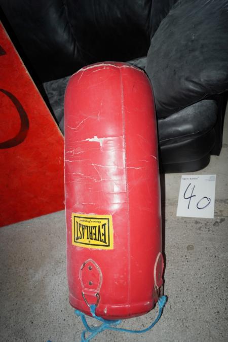 Everlast boxing ball.