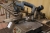 Band saw, Pilous ARG 230. Bevel. Roller conveyor inlet and outlet