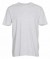 Firmatøj ungebraucht ohne Druck: 50 STK. T-Shirt, Rundhalsausschnitt, ASH, 100% Baumwolle, 50 S