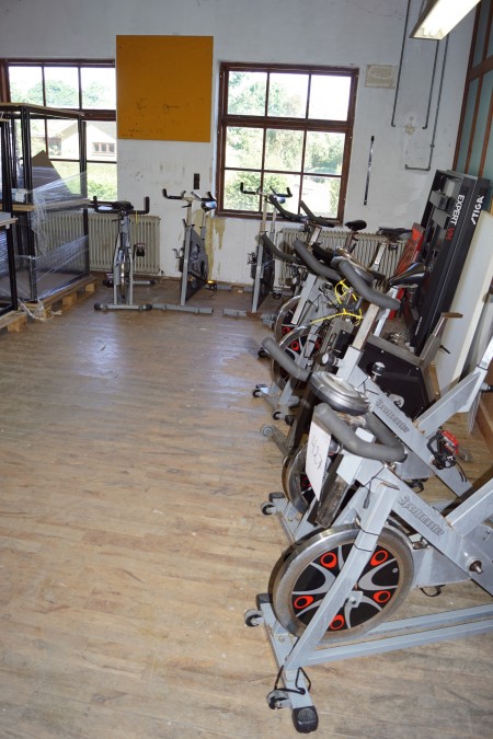Fitness cycles 9 pcs. 2 different models, not tested.