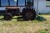 Massey Ferguson Traktor 35 mit bagskovl
