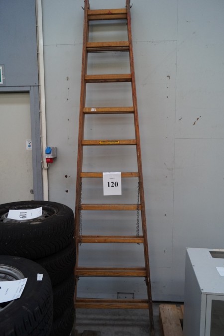 Ladder 10 steps