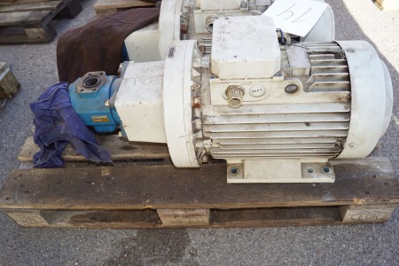 Electric motor with hydraulic pump