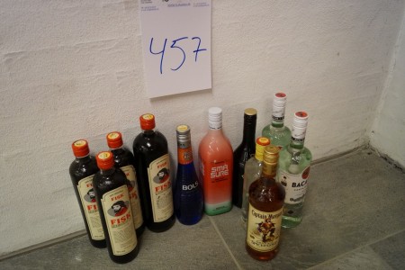 11 bottles of spirits: 3 x Fish 0.7 L, 1 x Fish 1 L, 1 x Bols 0.5 L, 1 x Small Sour 1 L, 1 x Gordon Gin 0.7 L, 1 x Baylies 0.7, 1 x Captain Morgan Room 0.7 L, 2 x Bacardi Room 0.7 L