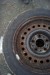 Winter tire bmw 195 / 65R15